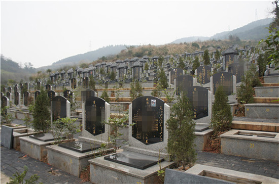 九龙坡区仙女山公墓墓型展示