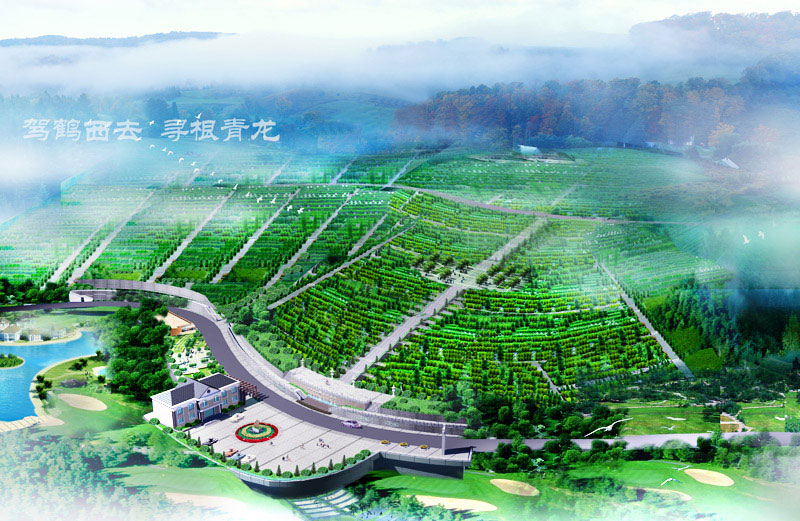 綦江青龙山公墓园区景观